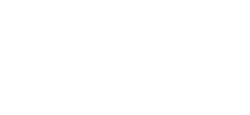 Lyon Comercial